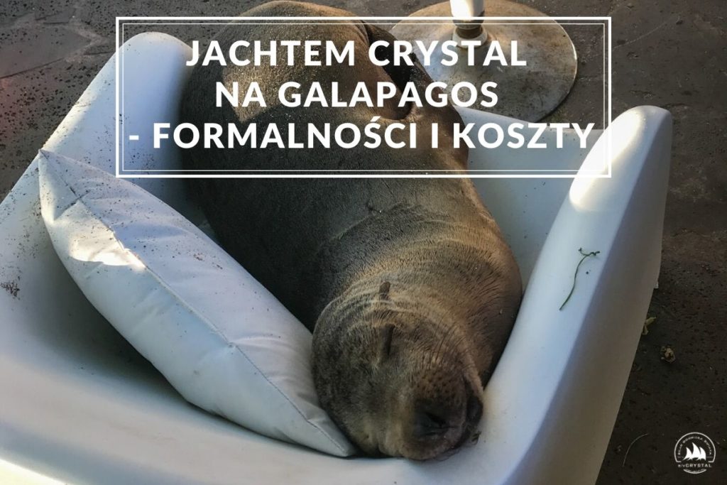 foka_crystal_jacht_galapagos_rejs_morski_1jpg