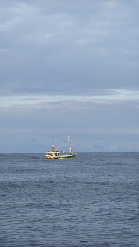 Kolejny kuterek ze Sri Lanki